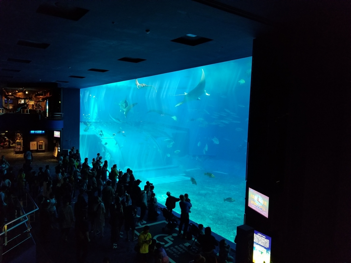 f:id:atsugiebina:20190409231802j:plain