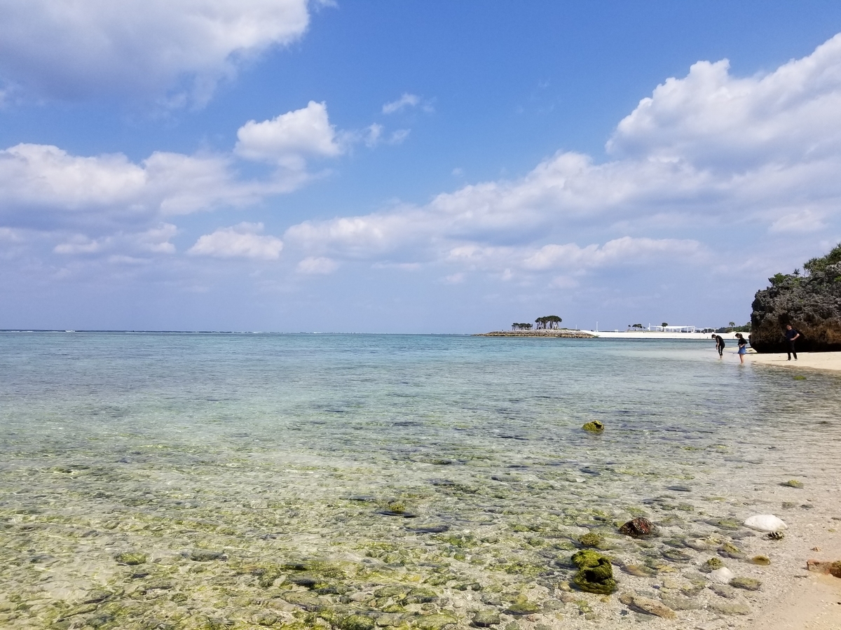 f:id:atsugiebina:20190409232628j:plain