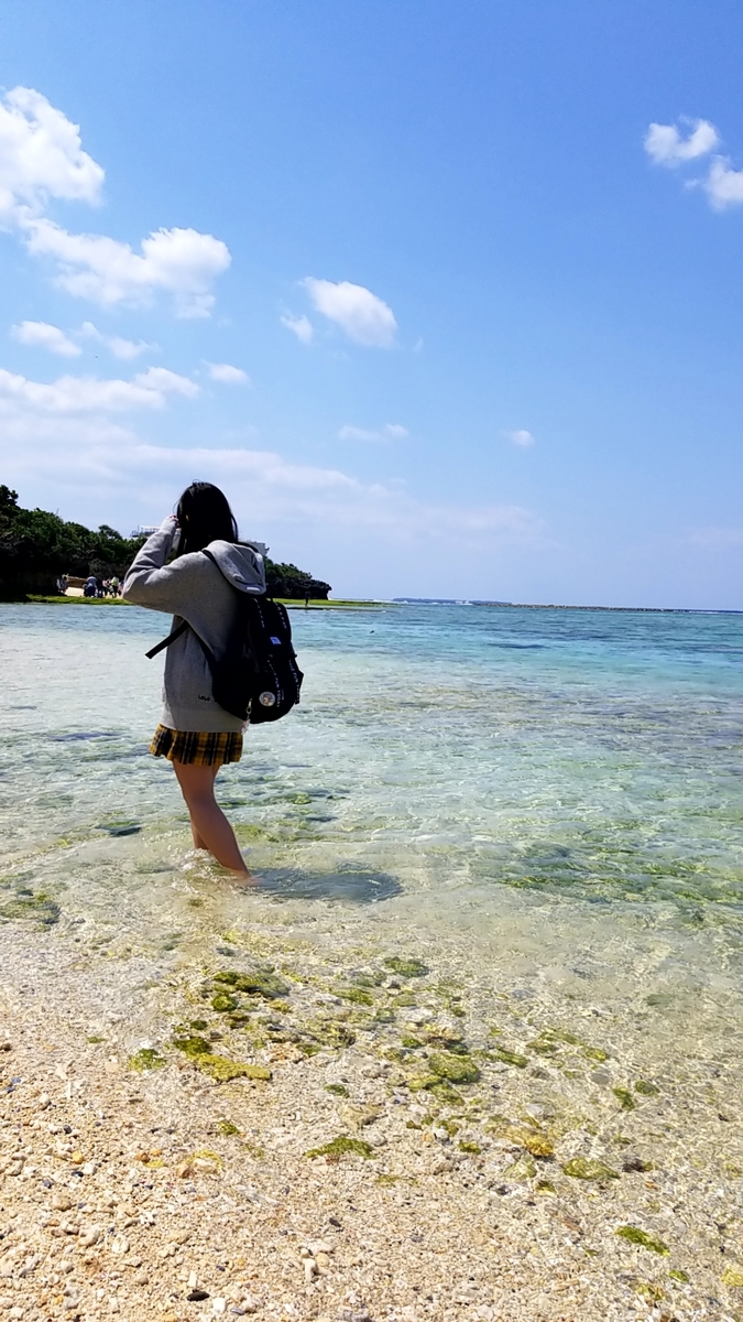 f:id:atsugiebina:20190409232817j:plain