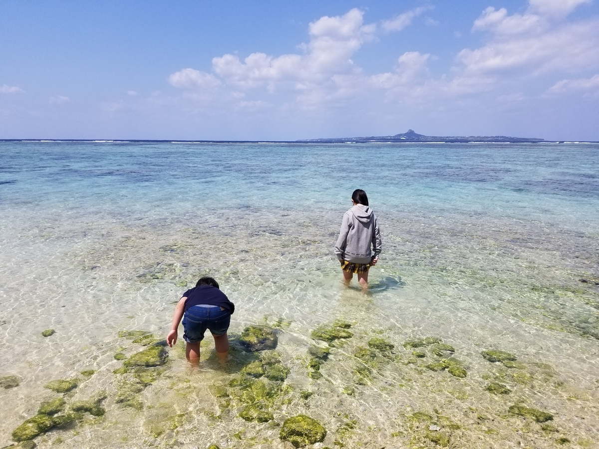 f:id:atsugiebina:20190409232842j:plain