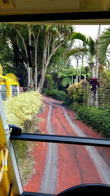 f:id:atsugiebina:20190410221226j:image f:id:atsugiebina:20190410221226j:image