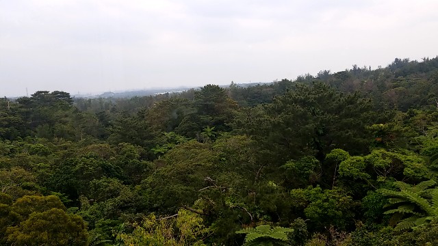 f:id:atsugiebina:20190411083613j:image f:id:atsugiebina:20190411083613j:image