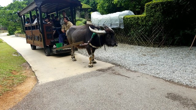 f:id:atsugiebina:20190411083653j:image f:id:atsugiebina:20190411083653j:image