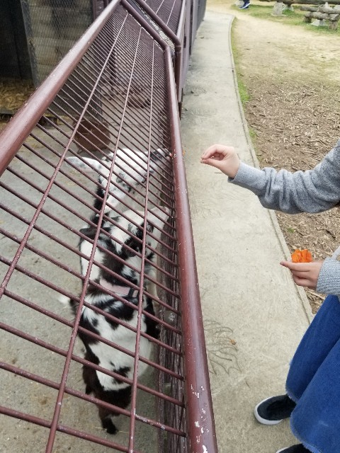 f:id:atsugiebina:20190411084041j:image f:id:atsugiebina:20190411084041j:image