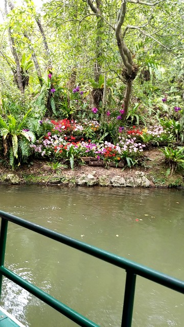 f:id:atsugiebina:20190411084200j:image f:id:atsugiebina:20190411084200j:image