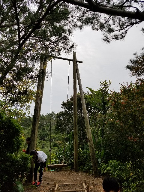 f:id:atsugiebina:20190411084536j:image f:id:atsugiebina:20190411084536j:image