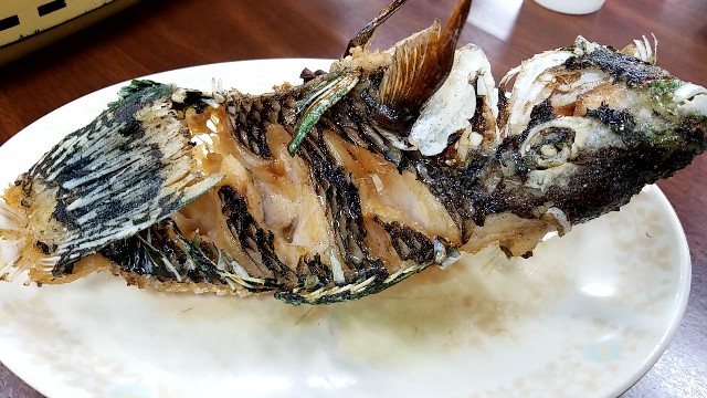 f:id:atsugiebina:20190416165948j:image