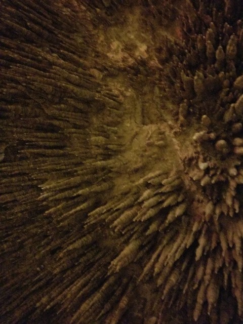 f:id:atsugiebina:20190427095108j:image f:id:atsugiebina:20190427095108j:image