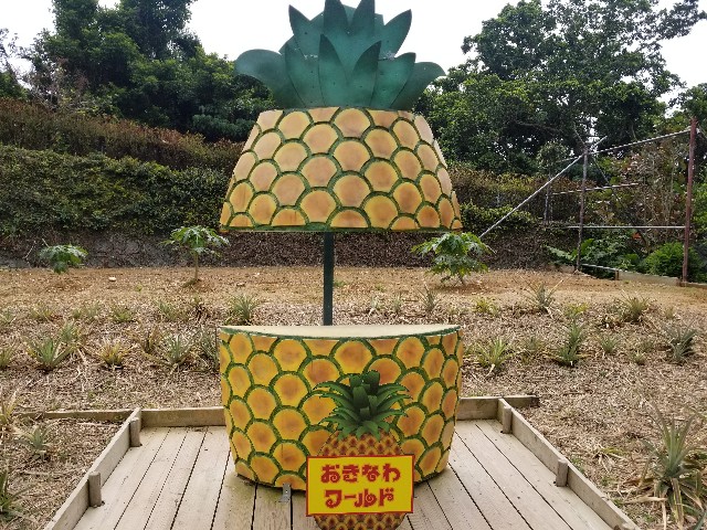 f:id:atsugiebina:20190427095633j:image f:id:atsugiebina:20190427095633j:image