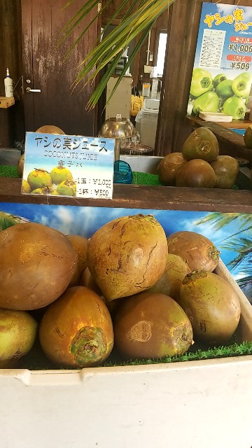 f:id:atsugiebina:20190427095800j:image f:id:atsugiebina:20190427095800j:image