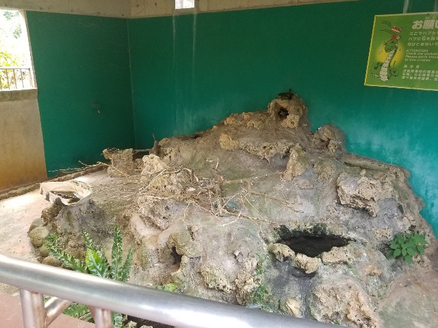 f:id:atsugiebina:20190427100011j:image f:id:atsugiebina:20190427100011j:image