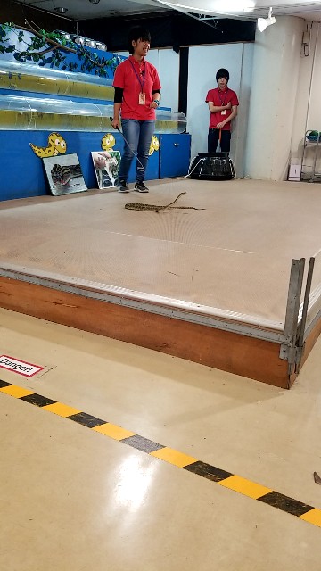 f:id:atsugiebina:20190427100119j:image f:id:atsugiebina:20190427100119j:image