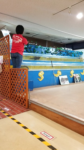 f:id:atsugiebina:20190427100156j:image f:id:atsugiebina:20190427100156j:image