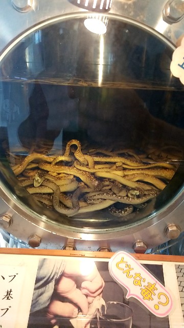 f:id:atsugiebina:20190427100333j:image f:id:atsugiebina:20190427100333j:image