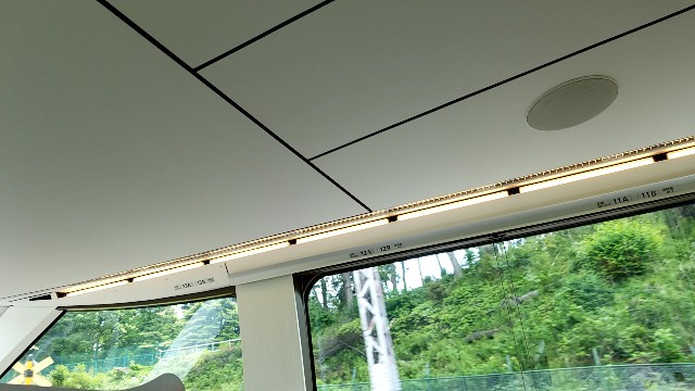 f:id:atsugiebina:20190520051231j:image