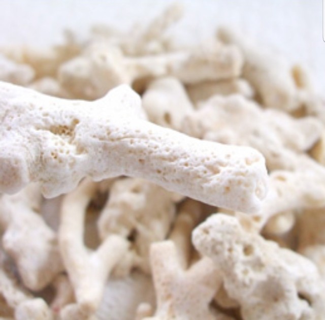 f:id:atsugiebina:20190526234900j:image