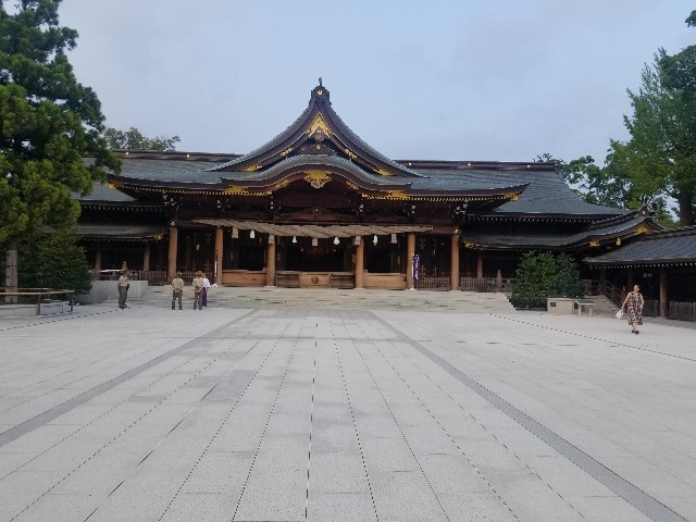 f:id:atsugiebina:20190820163806j:image f:id:atsugiebina:20190820163806j:image