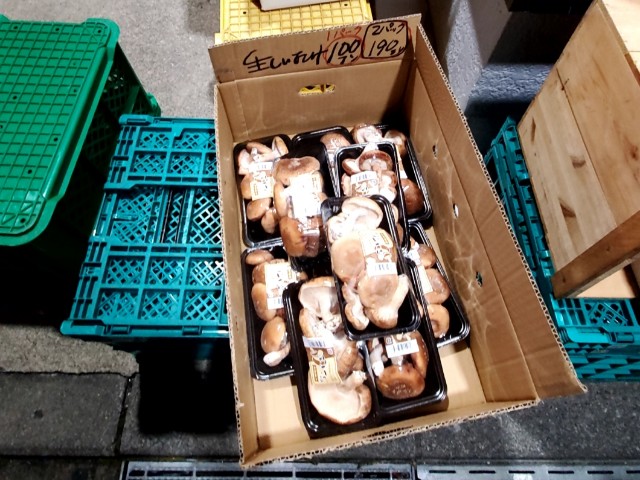 f:id:atsugiebina:20191008083415j:image