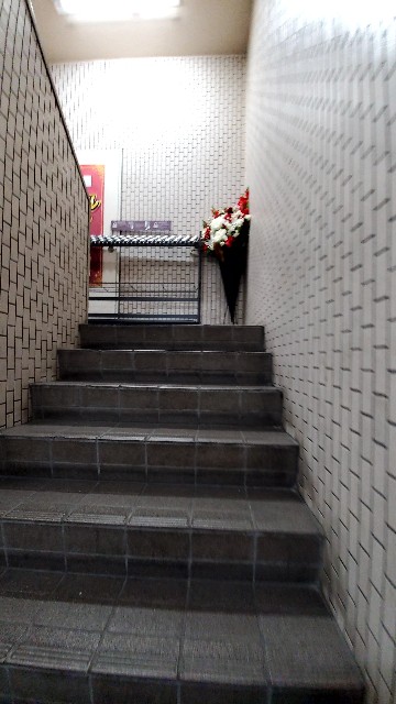 f:id:atsugiebina:20191113220624j:image