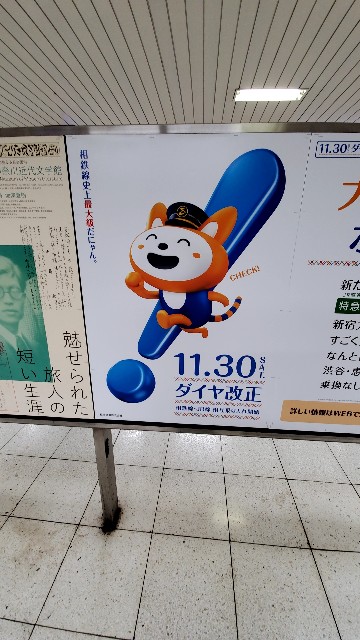 f:id:atsugiebina:20191118234438j:image f:id:atsugiebina:20191118234438j:image