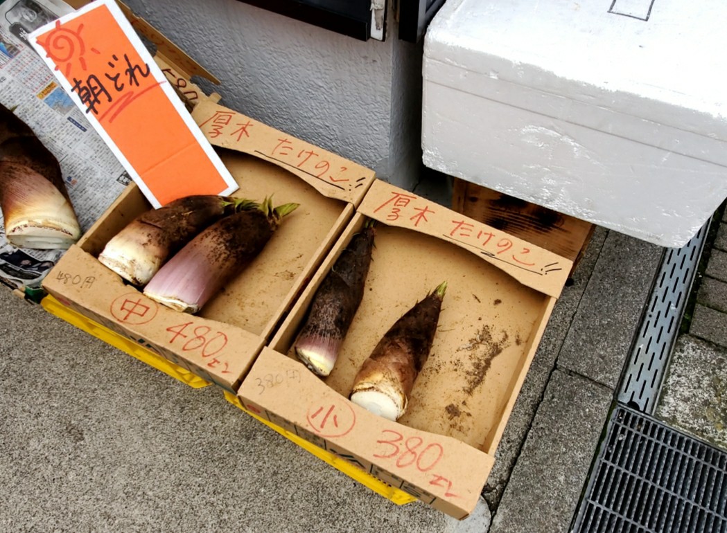 f:id:atsugiebina:20200512044736j:image f:id:atsugiebina:20200512044736j:image