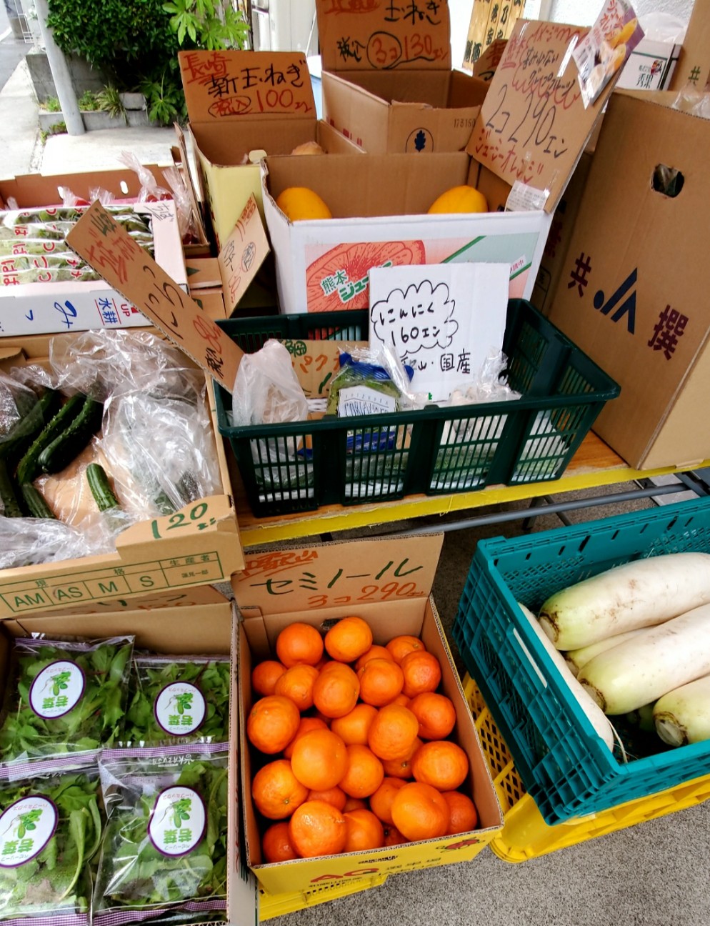 f:id:atsugiebina:20200512044753j:image f:id:atsugiebina:20200512044753j:image