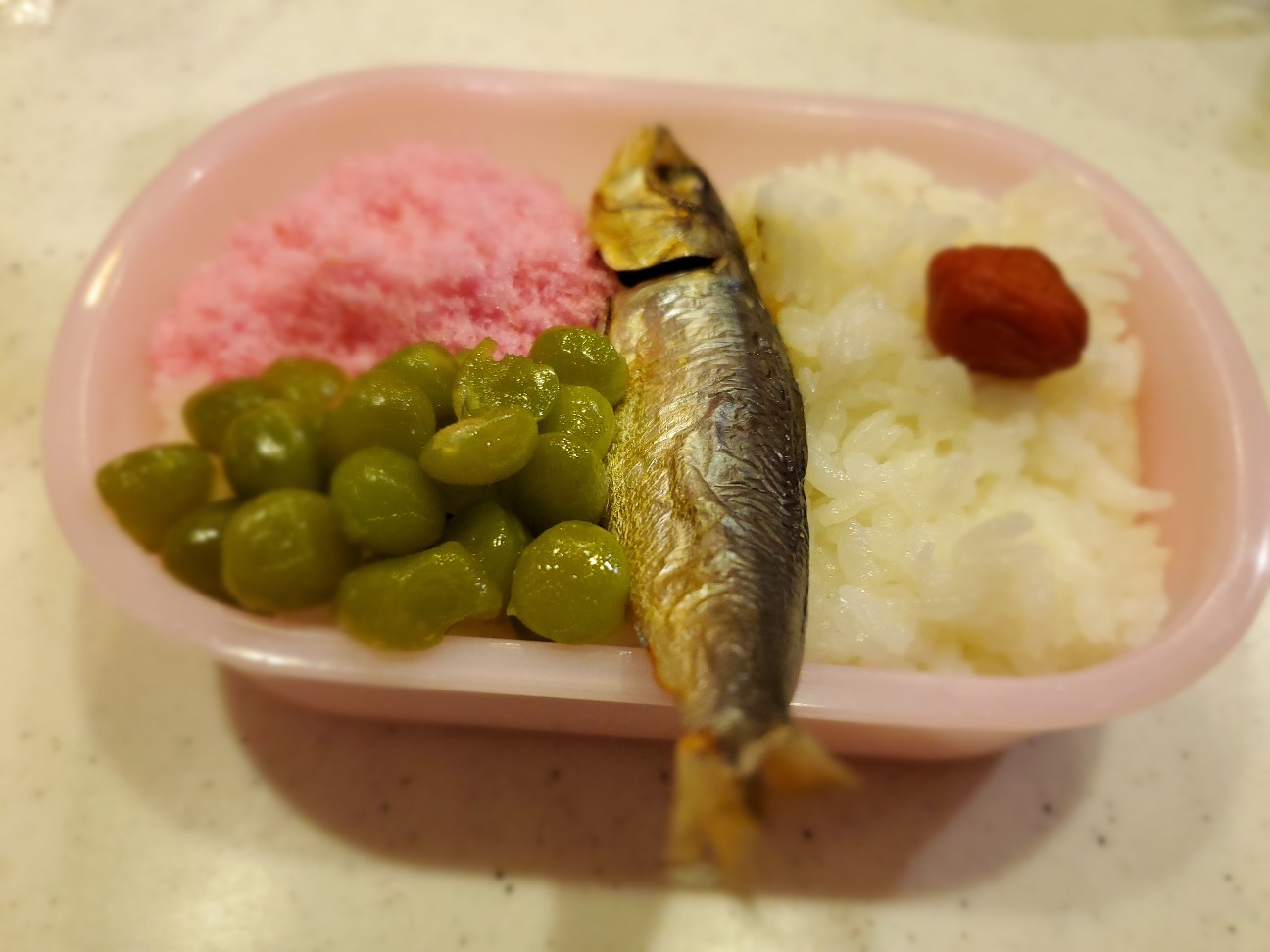 f:id:atsugiebina:20200521033116j:image