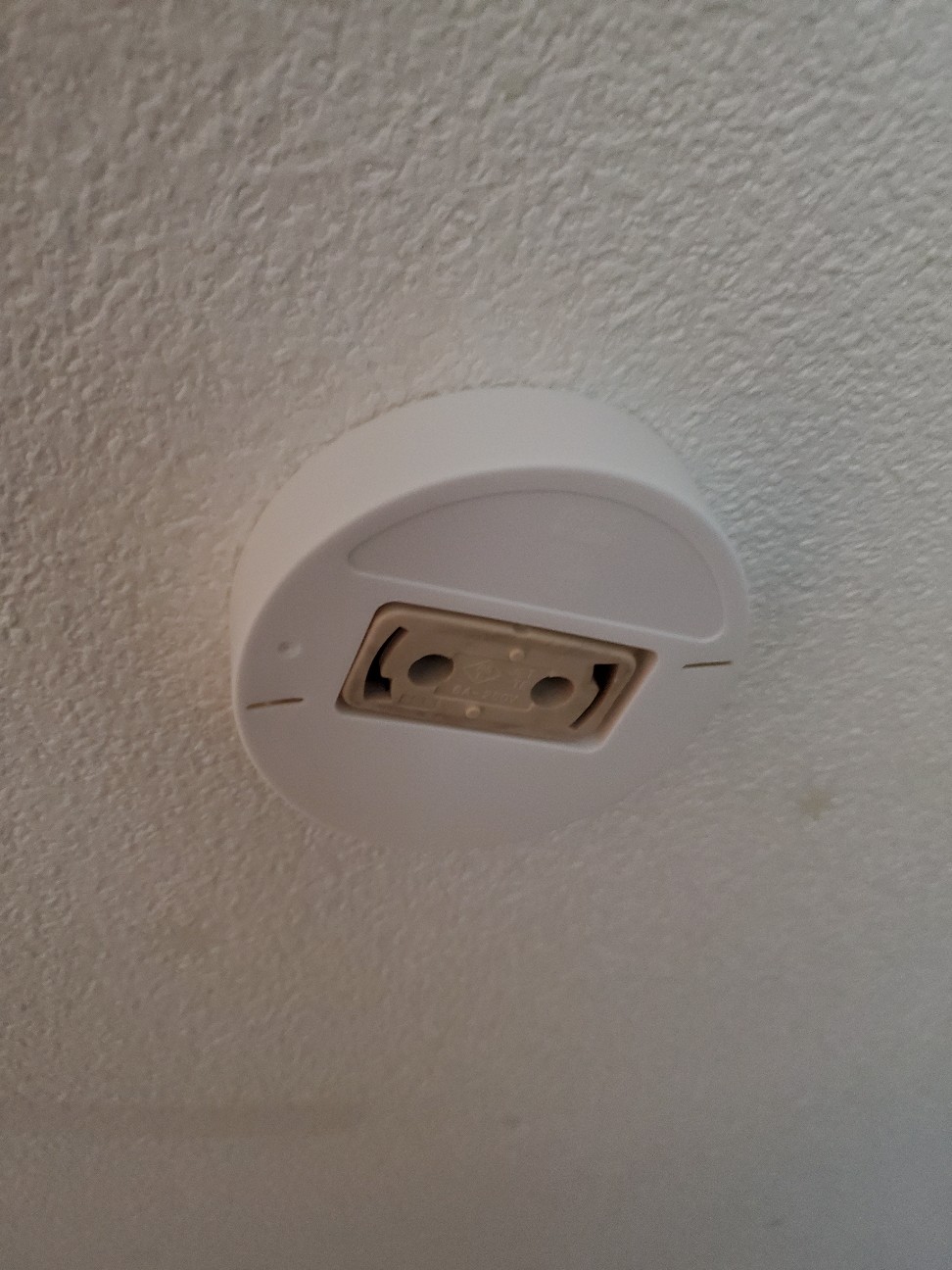 f:id:atsugiebina:20200612114412j:image