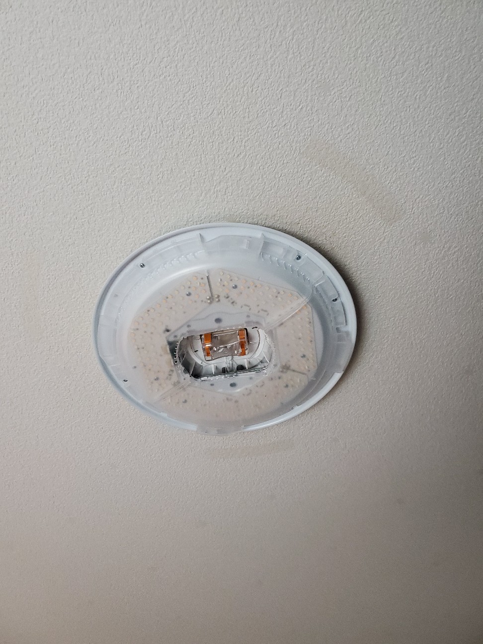 f:id:atsugiebina:20200612114433j:image