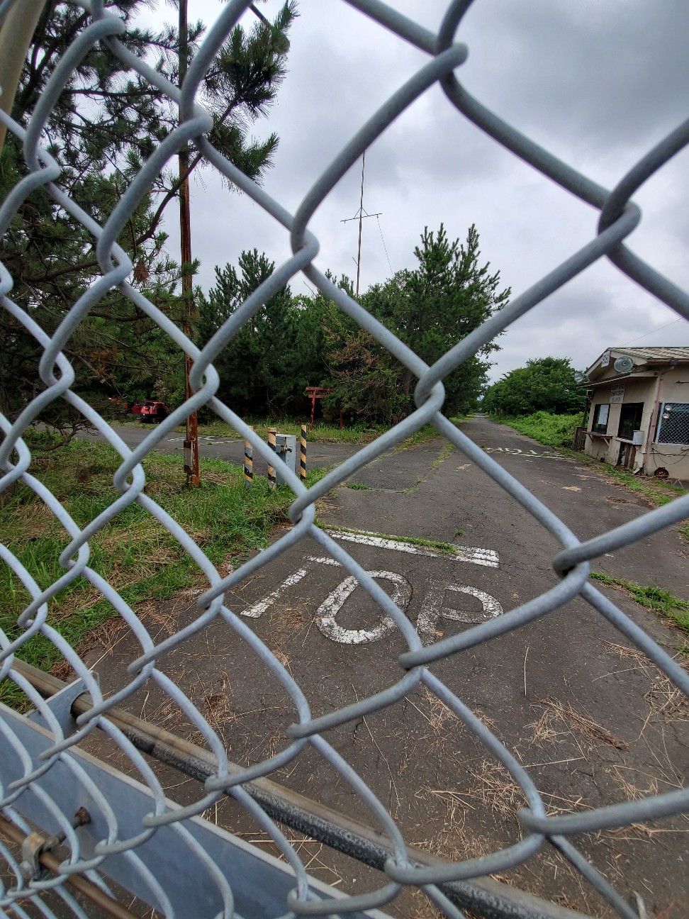 f:id:atsugiebina:20200729154200j:image