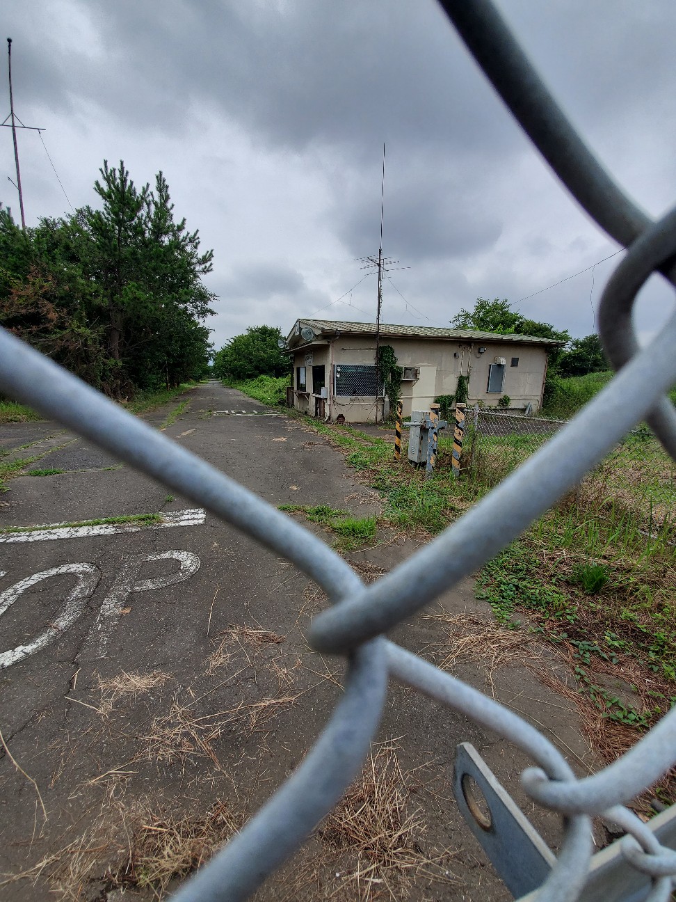 f:id:atsugiebina:20200729154232j:image