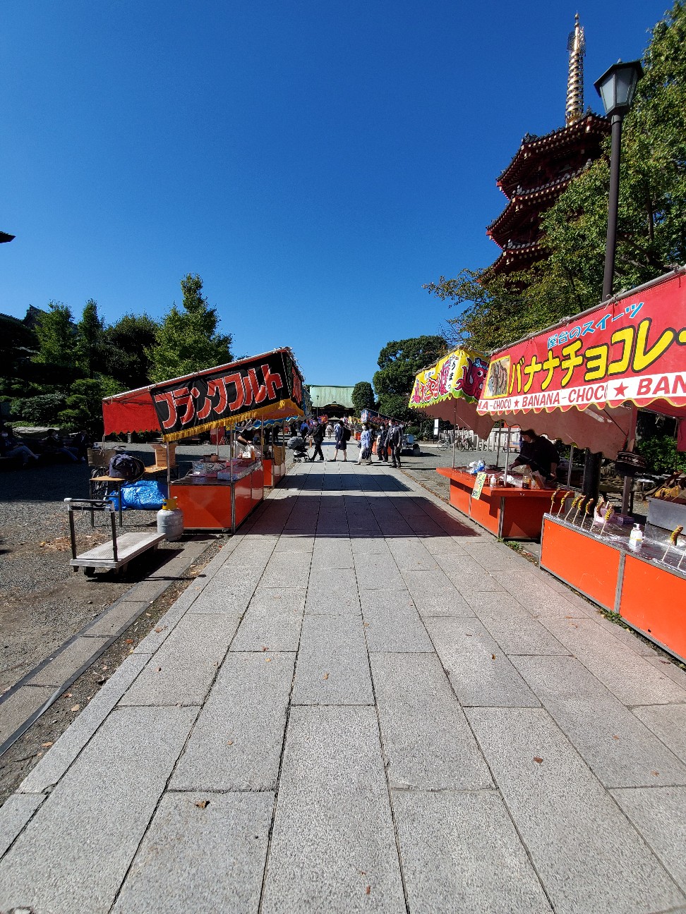 f:id:atsugiebina:20201102085052j:image