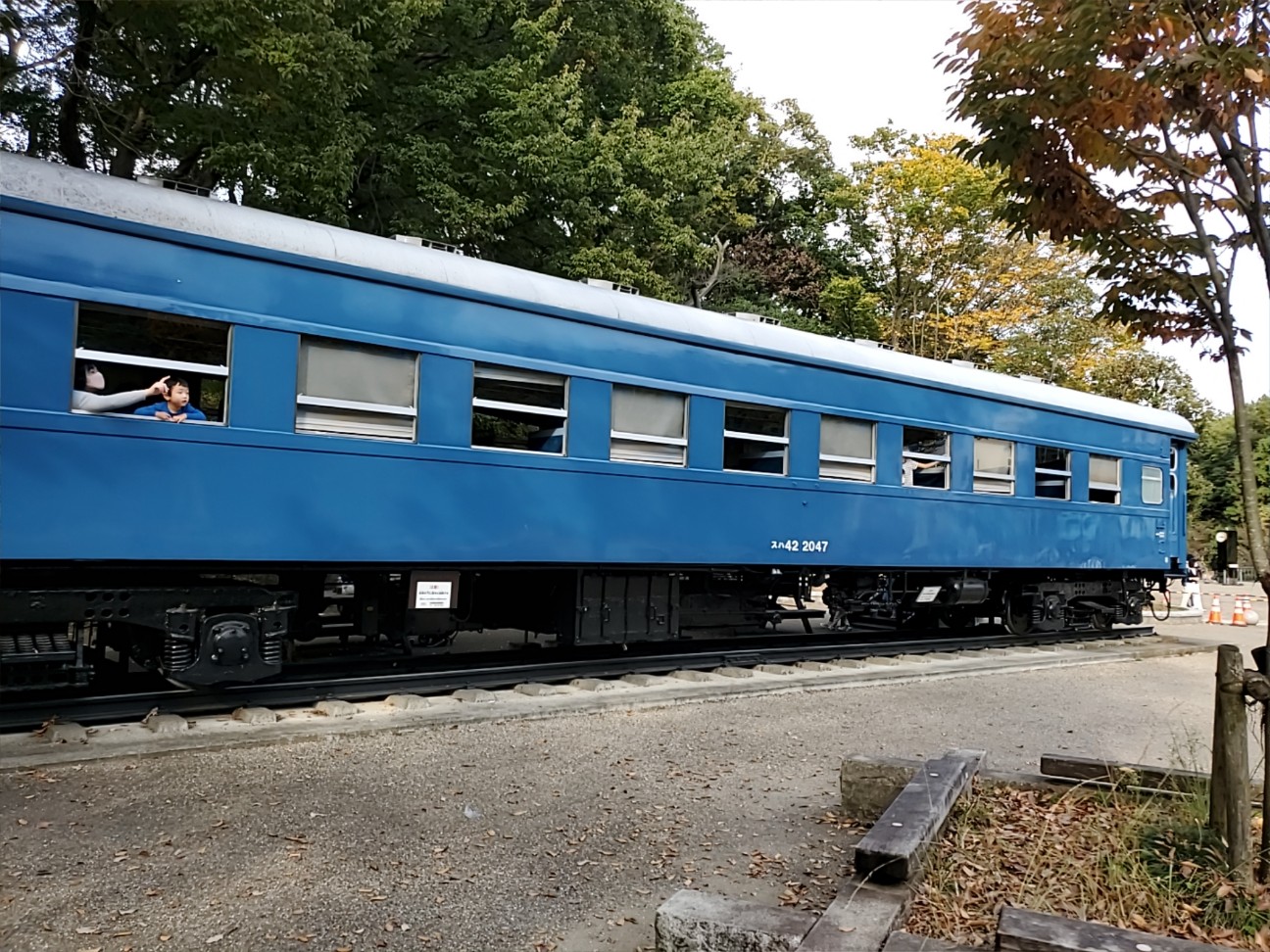 f:id:atsugiebina:20201108151343j:image f:id:atsugiebina:20201108151343j:image