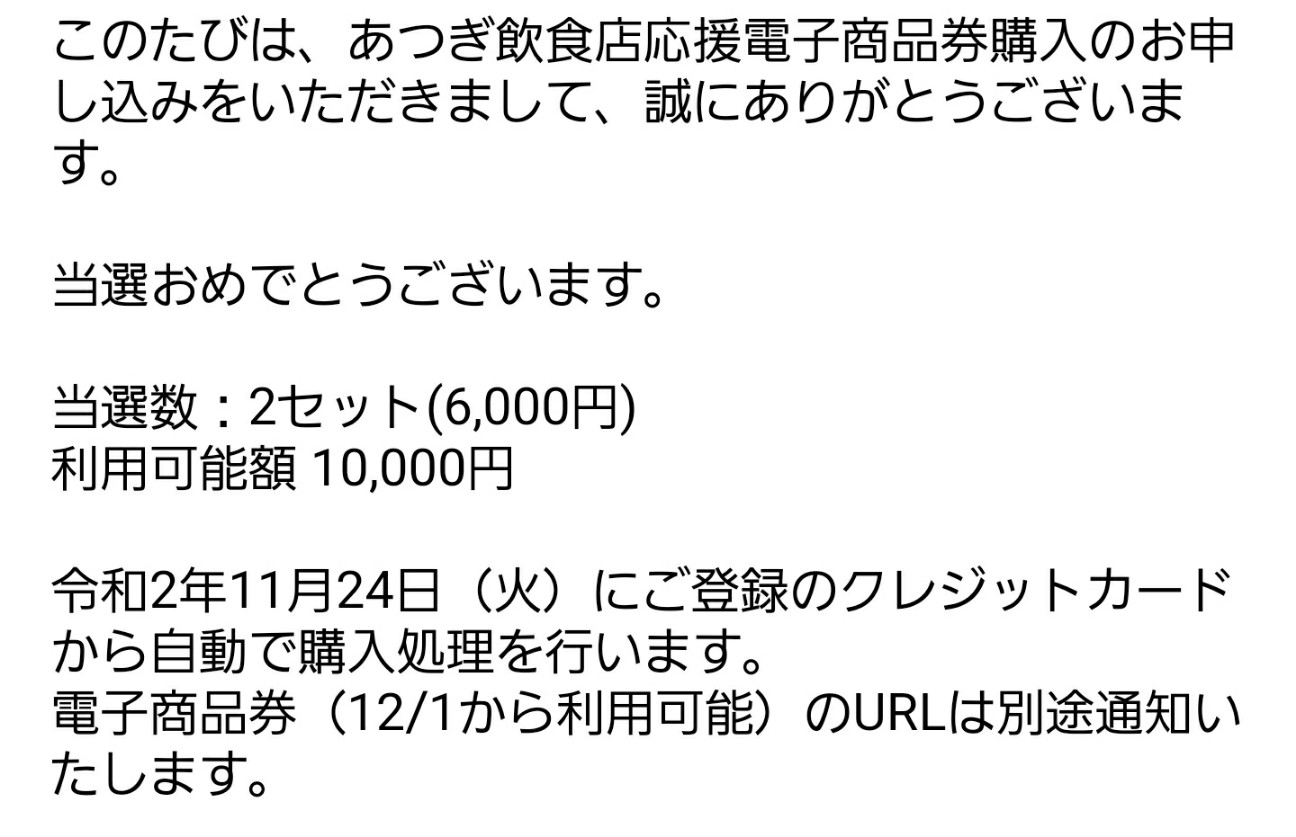 f:id:atsugiebina:20201130065949j:image