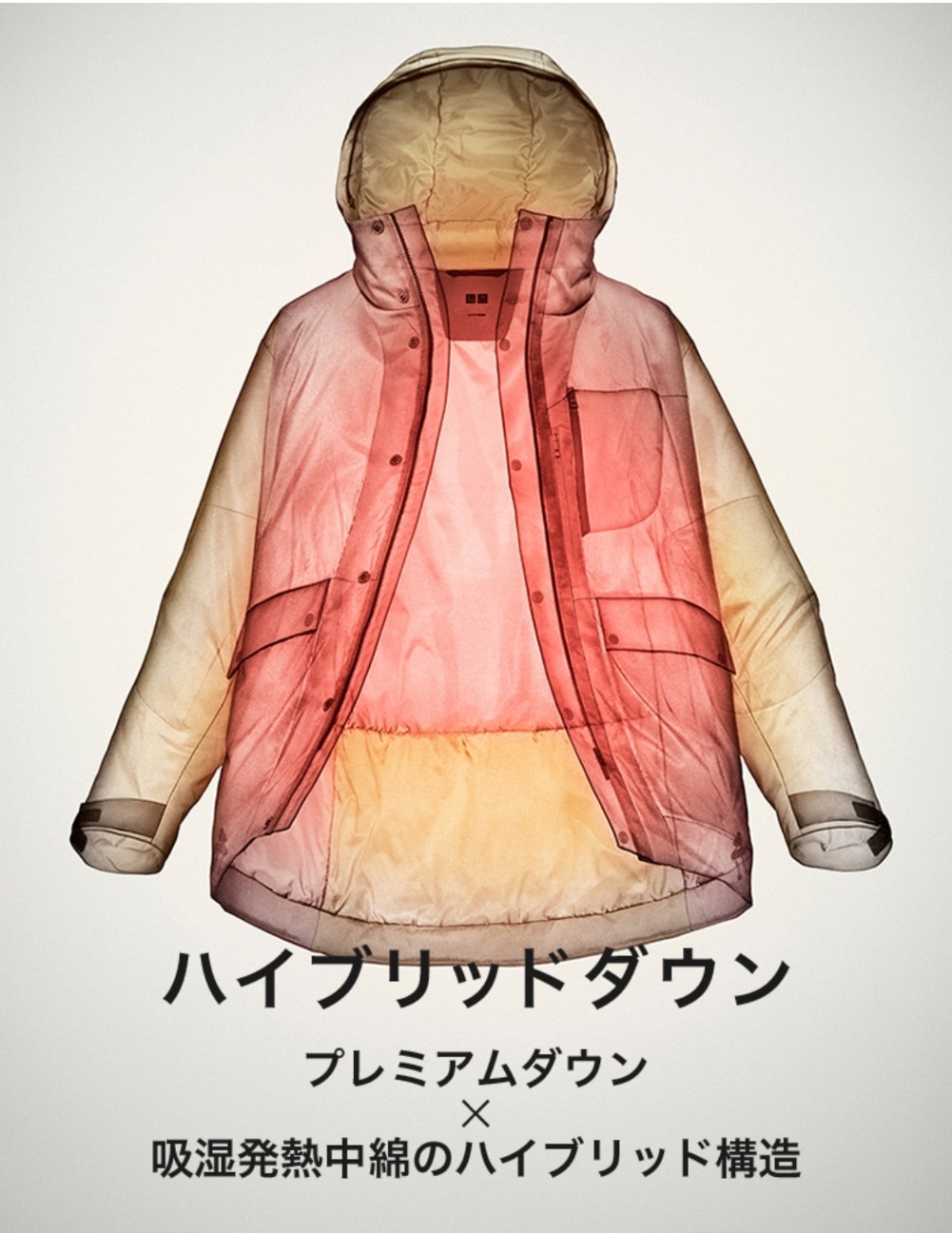 f:id:atsugiebina:20201219055038j:image