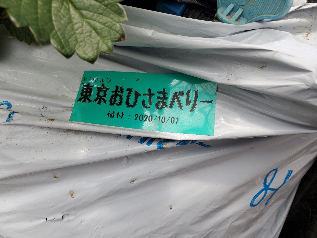 f:id:atsugiebina:20210516071442j:image