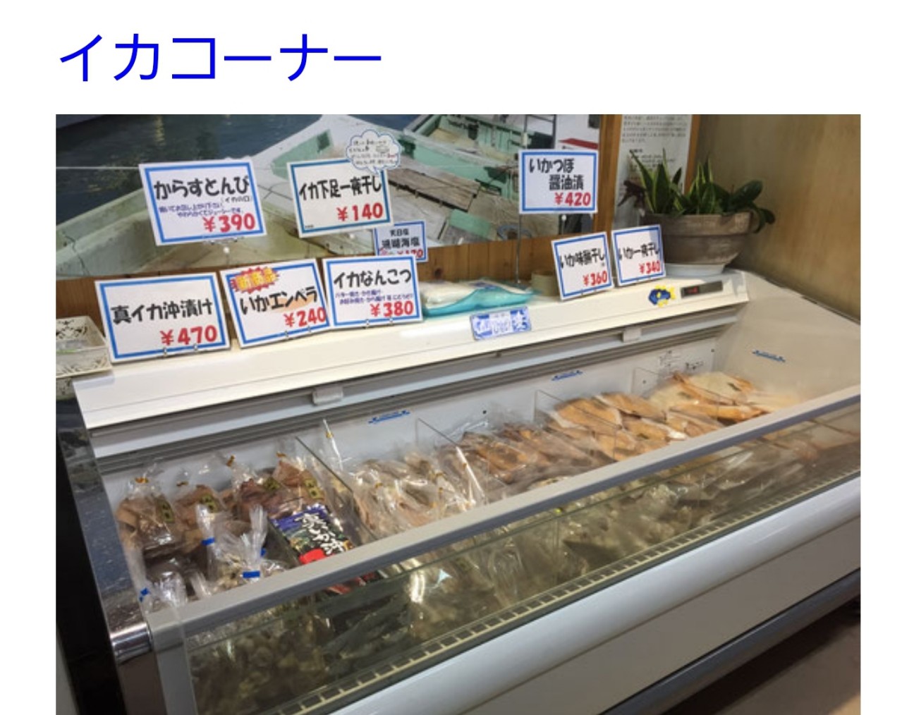 f:id:atsugiebina:20210923082247j:image f:id:atsugiebina:20210923082247j:image