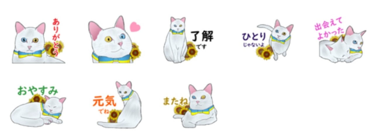 f:id:atsugiebina:20220521212138j:image
