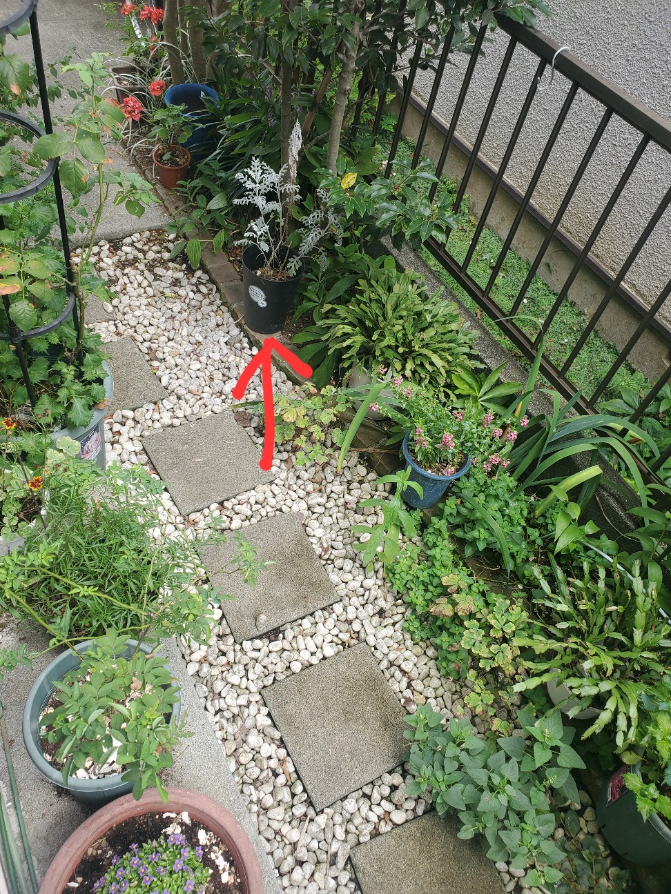 f:id:atsugiebina:20220903034849j:image