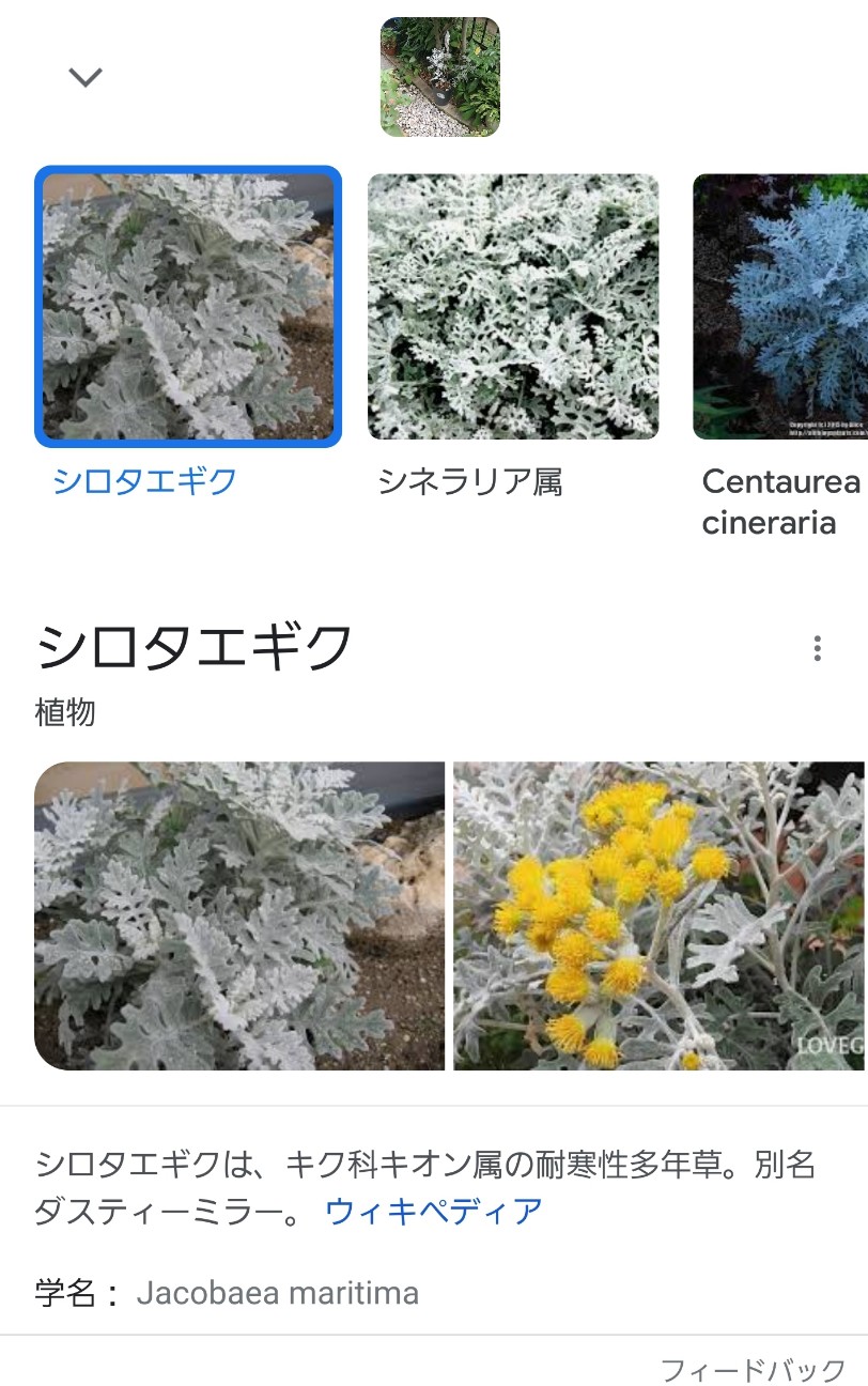 f:id:atsugiebina:20220903035000j:image