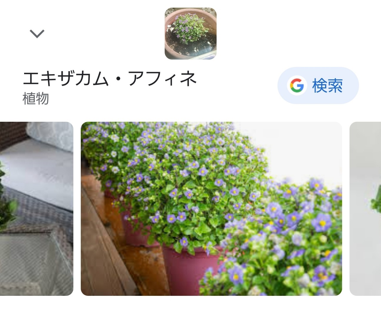 f:id:atsugiebina:20220903035209j:image