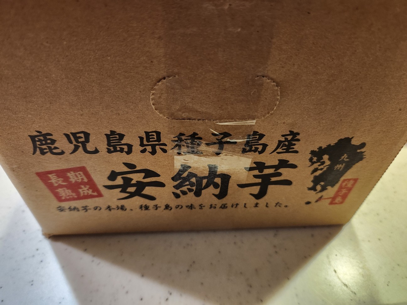 f:id:atsugiebina:20230211155809j:image