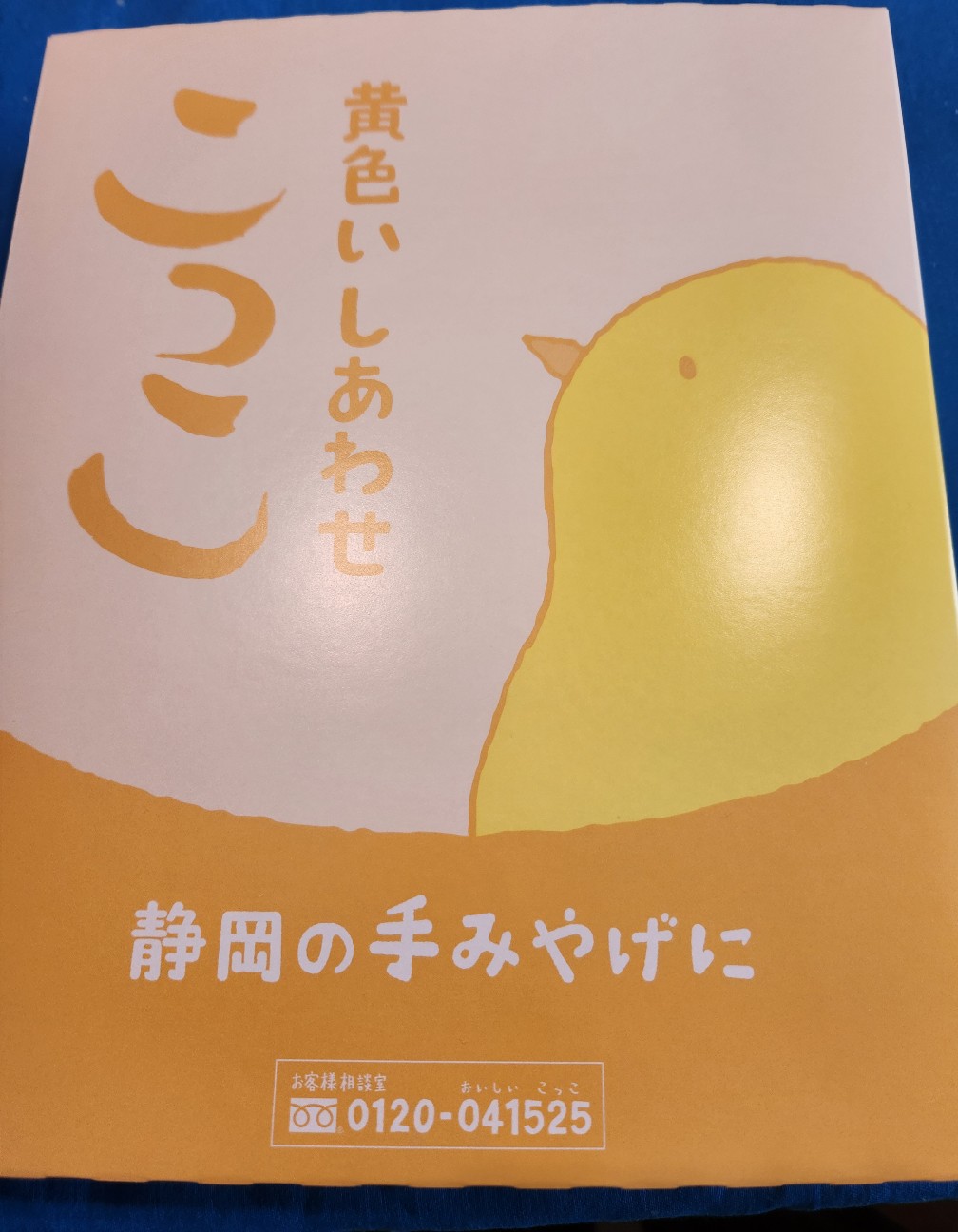 f:id:atsugiebina:20230218155018j:image f:id:atsugiebina:20230218155018j:image