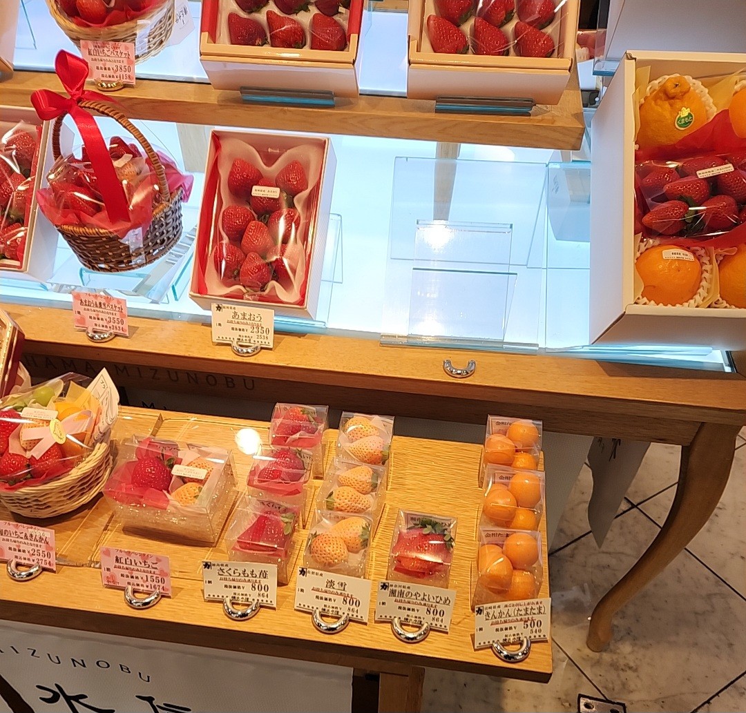 f:id:atsugiebina:20230220075455j:image