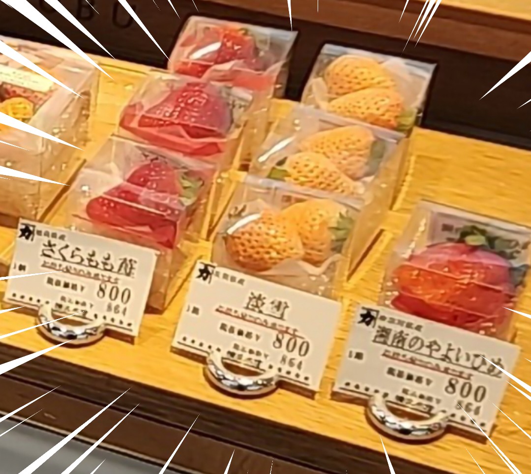 f:id:atsugiebina:20230220075647j:image