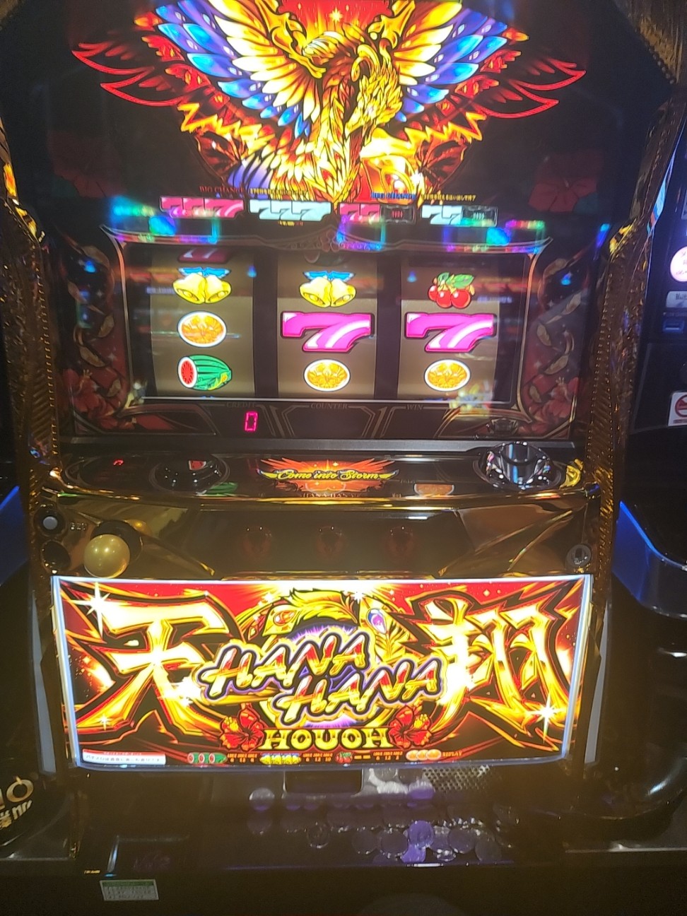 f:id:atsugiebina:20230710124449j:image f:id:atsugiebina:20230710124449j:image