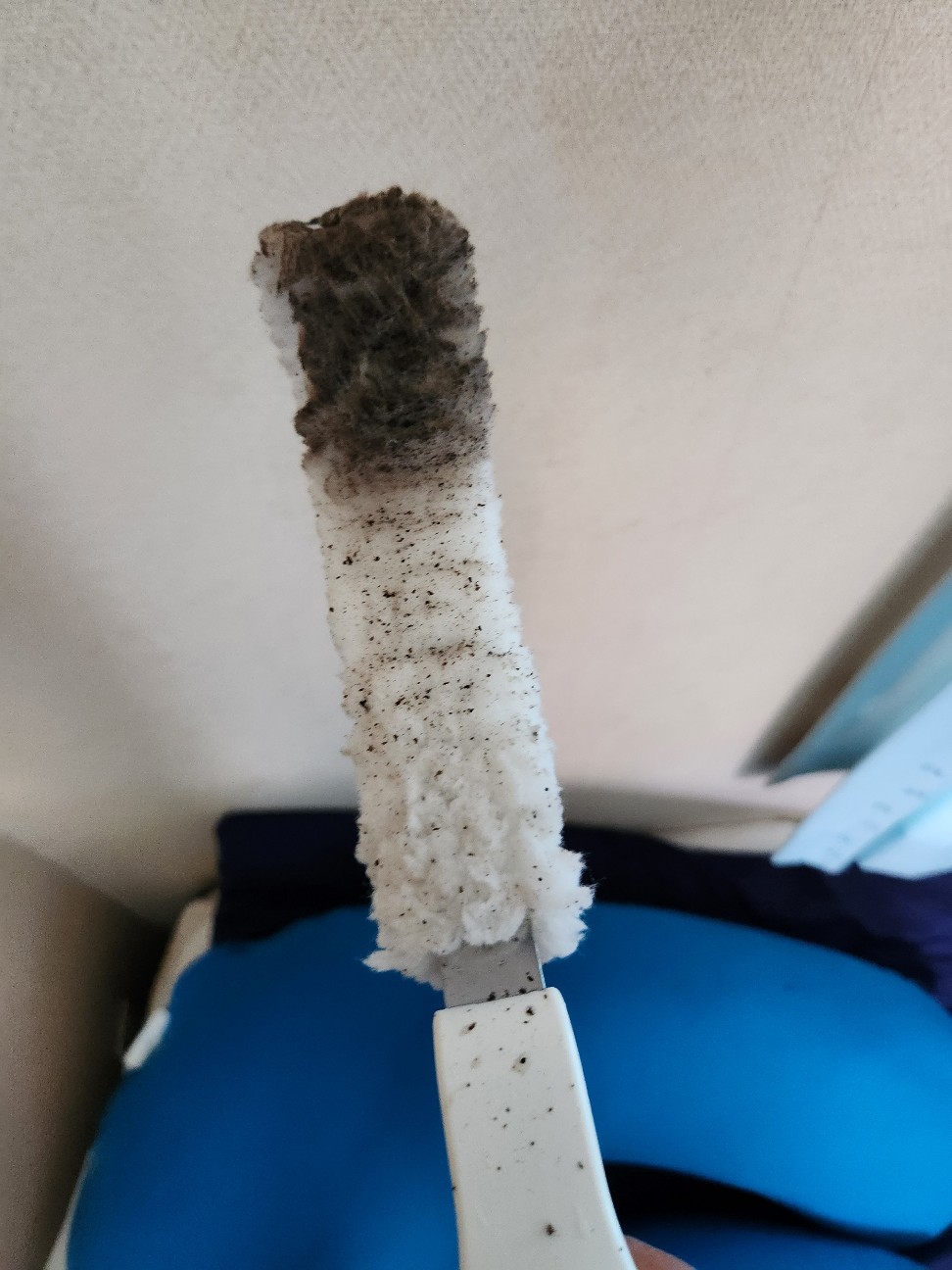 f:id:atsugiebina:20230724212054j:image f:id:atsugiebina:20230724212054j:image