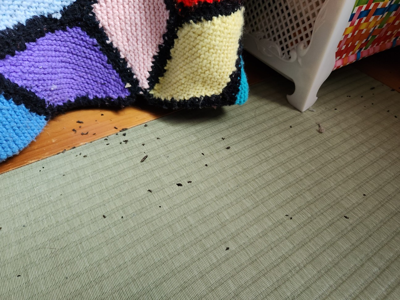 f:id:atsugiebina:20230724212301j:image f:id:atsugiebina:20230724212301j:image