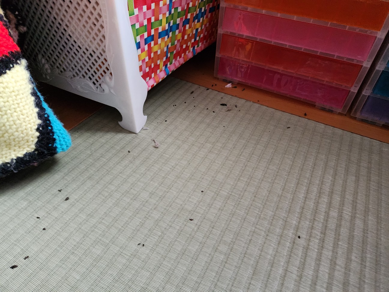 f:id:atsugiebina:20230724212433j:image f:id:atsugiebina:20230724212433j:image