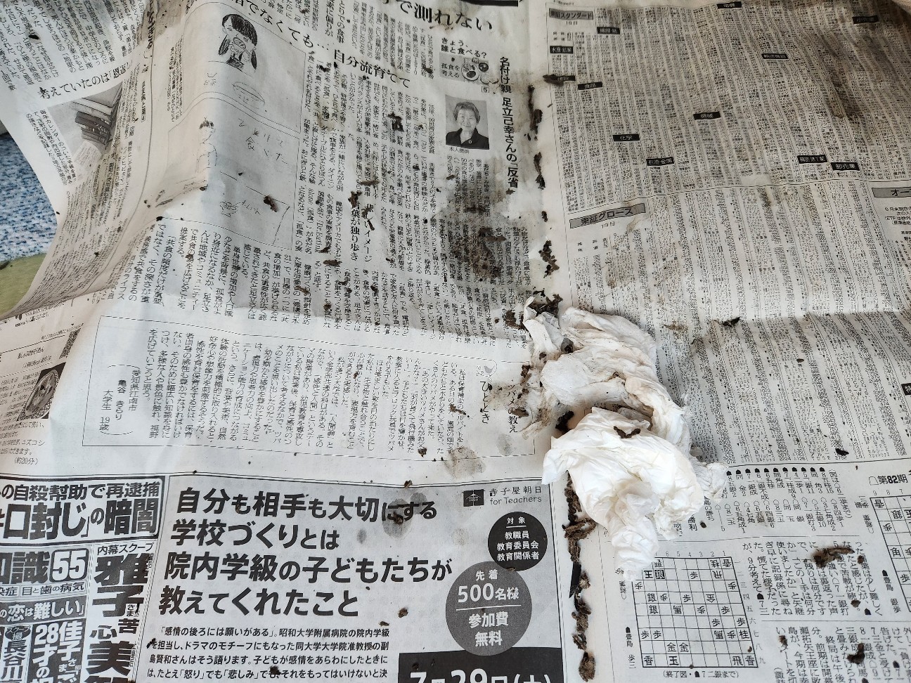 f:id:atsugiebina:20230724212458j:image f:id:atsugiebina:20230724212458j:image